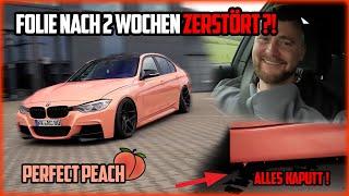 FOLIE NACH 2 WOCHEN ZERSTÖRT? I BMW F30 I Aston Martin DBX 707 I Renault Koleos