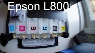 Личное мнение - Epson  l800