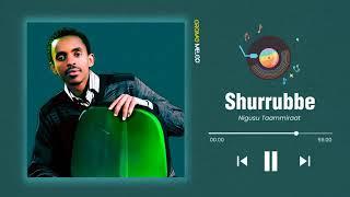 Nigusu Taammiraat   Shurrubbe   Oromo music 2023