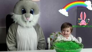 The best toddler fun learning video animal sounds by Kids like Mark Tv