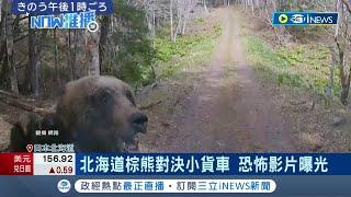 北海道採野菜遇棕熊猛撲撞擊 驚悚畫面曝! 美國大山貓闖入後院 吃掉倉庫火雞飽食｜記者 姚懷真｜【國際局勢】20240430｜三立iNEWS