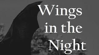 Solomon Kane – Wings in the Night, by Robert E. Howard #audiobook #robertehoward #solomonkane