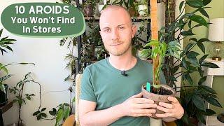 10 Aroids You Won't Find In Plant Shops!