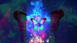 Red and blue colliding with colorful butterflies(Video)