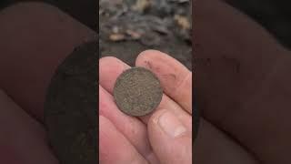 Поиск старинных монет/копейка 1866 года #коп #находки #металлоискатель