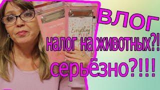 Налог на животных?! Серьёзно?!!! покупки в фикс прайс