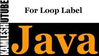 Java Programming -- Part 38 -- Label For Loop