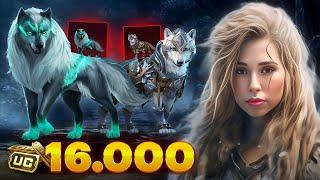 Netherwolf Buddy Set Crate Openingاين گرگ چرا انقدر ترسناك🫣وووووى