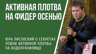 Ловля активной плотвы фидером осенью на водохранилище