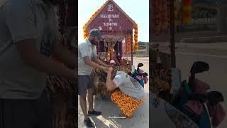 Haridwar Bhole️#bhole #music  #mahakal #mahadev #record #khasi #bholenath  #bhole #princetyagi