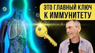 Это Главный Ключ к Иммунитету! Как Восстановить Микробиом, Защитник Иммунитета.