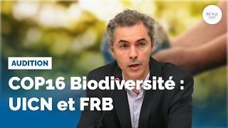 COP 16 Biodiversité : audition de l'UICN et de la FRB