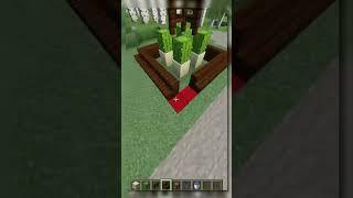 The BEST Cactus Farm in Minecraft #minecraft #minecraftshorts #shorts