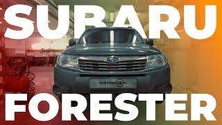 Установка линз на Subaru Forester