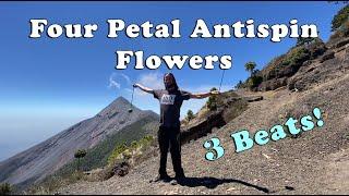 Poi Four Petal Flowers - 3 Beat Antispin Flowers Tutorial!