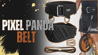 Pixel Panda Weightlifting Belt