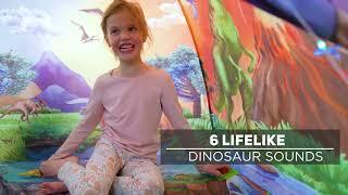 Dino Super Dome | 2023 NAPPA Award Winner