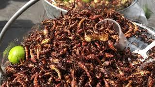 Deliciosos Chapulines fritos crujientes - (Grillos o Saltamontes?)