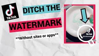 How To Download Your TikTok Video WITHOUT THE WATERMARK (No Third Party Apps Or Websites)!