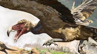 Argentavis - The Heaviest Flying Birds