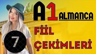 7. Ders | [A1] | Almanca Fiil Çekimleri