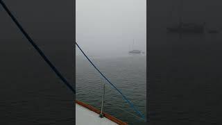 Ga gabon (Fog) sa among giangklahan (Port Mcneill B.C)