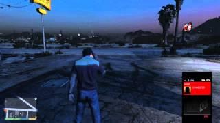 Grand Theft Auto V lester the molester