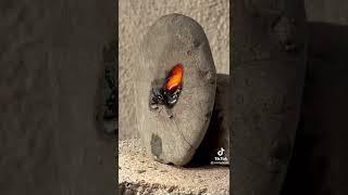 Melting stone with the sun and a powerful lens #shorts