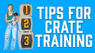 Our Top 3 Crate Training Tips For Puppies - Guaranteed To Work