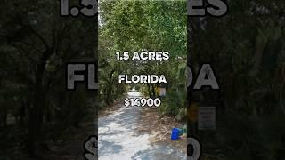 1.5 acres in Florida for $14,900. #shorts #florida #land #realestate #foryou #property #fyp #daily