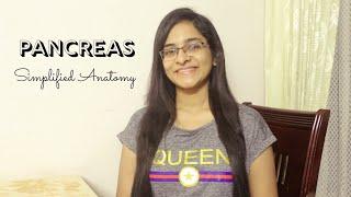 PANCREAS | ANATOMY | SIMPLIFIED