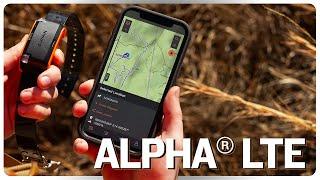 Alpha® LTE Dog Tracker: Connect to the Hunt