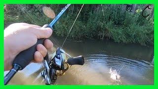 Ultra light rainbow trout spinning with spinners - private lake ultralight rainbow fishing