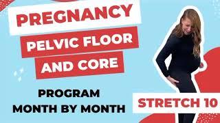 Pregnancy Pelvic Floor + Core Pain Program — Stretch 10 | Month by Month