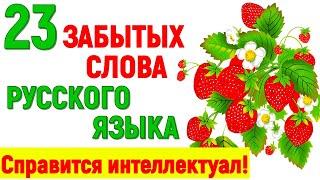 23 ЗАБЫТЫХ СЛОВА РУССКОГО ЯЗЫКА! ТЕСТ ДЛЯ НАСТОЯЩЕГО ИНТЕЛЛЕКТУАЛА! #test #старыеслова #русскийязык