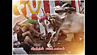 jallikkattu  Mass whatapp status Tamil KP Creation  subscribe &Like& support thank you 