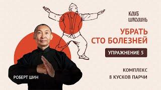 Комплекс Бадуанцьзинь. "8 кусков парчи". Упражнение 5. Убрать 100 болезней. Роберт Шин