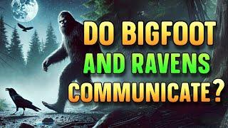 DO BIGFOOT AND RAVENS COMMUNICATE?