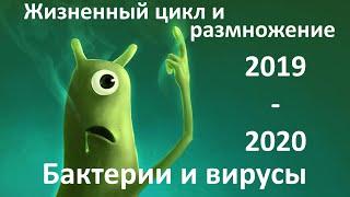 15. Вирусы и бактерии (9 или 10-11 класс) - биология, подготовка к ЕГЭ и ОГЭ 2020