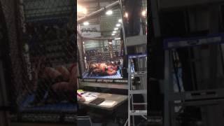 Champion's Creed: Nick Leblanc vs John Nguyen II