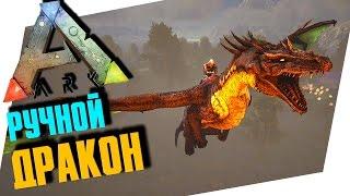 ARK: SURVIVAL EVOLVED - РУЧНОЙ ДРАКОН, ПУСТЫНЯ И ЛОГОВО ВИВЕРН!