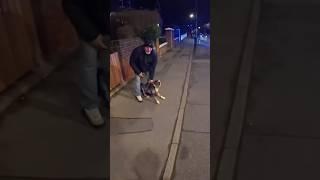 Biker Breaks Up Dog Fight, Then Police Ticket Owner | @kentroads #motorcycle #police #dog