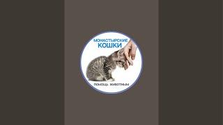 С праздником Рождества Пресвятой Богородицы!