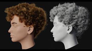 Grooming a beautiful curly hair in Blender (Luwizart)