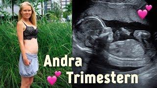 ANDRA TRIMESTERN UNDER MIN GRAVIDITET (VI FÅR ÄNTLIGEN SE VÅRAN BABY)