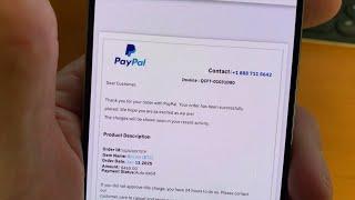 WHAT THE TECH? How scammers are using PayPal's popularity to target victims