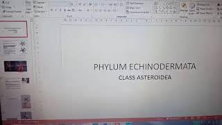 Phylum Echinodermata-Class Asteroidea