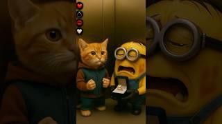 What is this cute cat (kitten) regretting in a place like this? #shorts
