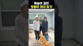 쌍둥이 아내 어케 찾는걸까?