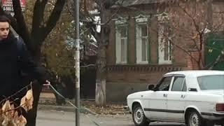 Енота выгуливали на Чкаловском 12.11.2019 Ростов-на-Дону Главный